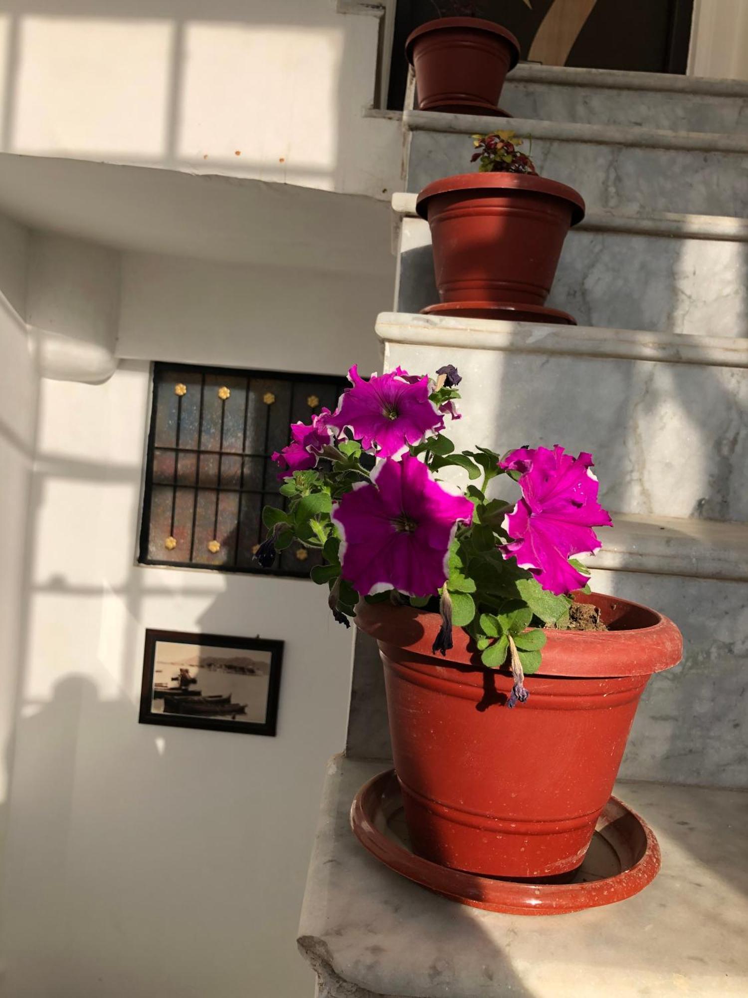 Nirvana Haveli Udaipur Exterior foto